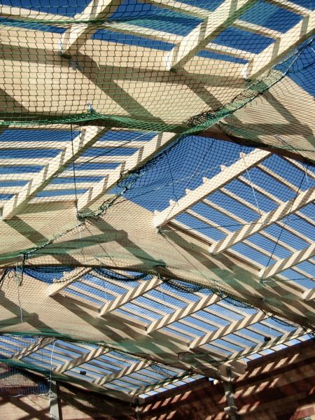 Zimmerei &amp; Holzbau